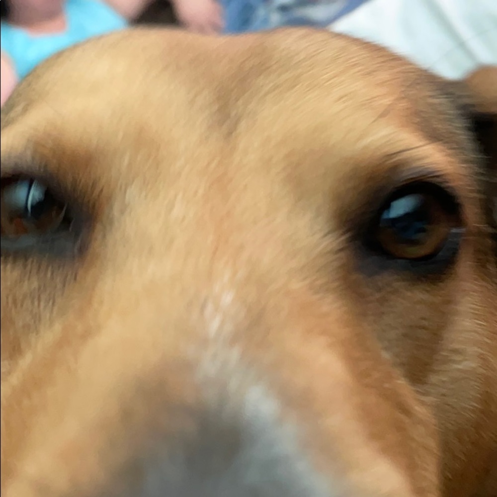 Meet your Posher, Isabella